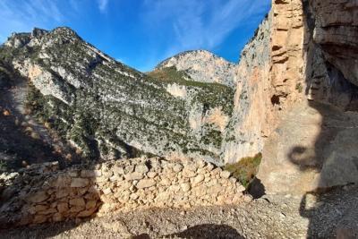 Agrandir l'image 1 sur 6, fenêtre modale